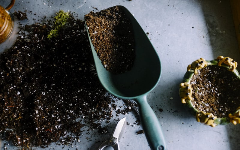 Lo que aprendí trabajando con marcas del sector gastronómico valenciano: 5 insights accionables
